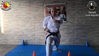 Aula de Karate — Aula de Karate Iniciantes
