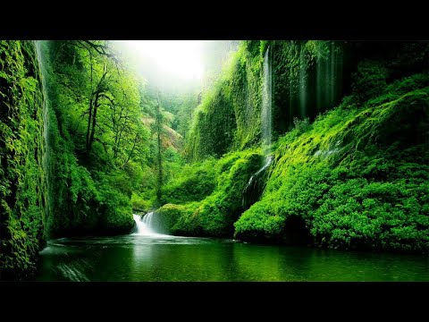 Beautiful Relaxing Music - Stop Overthinking, Stress Relief Music, Sleep Music, Calming Music