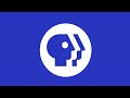 Verizon Media Makers McGee Media WETA PBS Distribution 2020