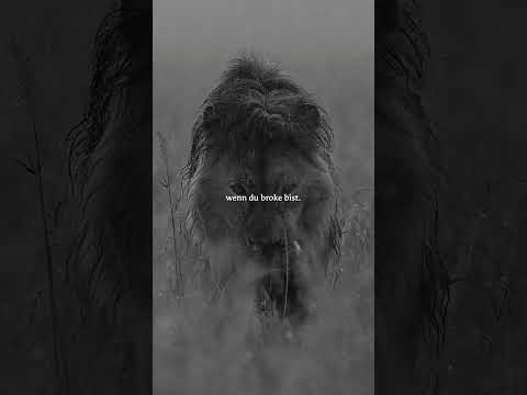 Versuche nicht reich zu wirken, wenn du broke bist ! #motivation #mindset #erfolg #ziele #Reich