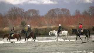 preview picture of video 'Glenorchy Lagoon Loop, New Zealand'