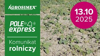 Opóźnione wschody rzepaku | Komunikat Rolniczy