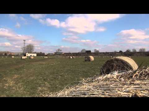 56312 6Z56 York Holgate   Chaddesden Sheet Stores jn Long Eaton 6th April 2013