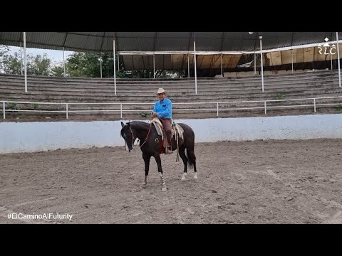 EL CAMINO AL FUTURITY: Capítulo 18 (Parte 1 de 2)