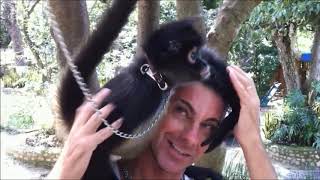 preview picture of video 'Jugando con un mono / Jouant avec un singe / Playing with a monkey.'