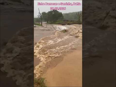 🇧🇷ENTRE BARROCAS E SERRINHA BAHIA, 28/02/2026 #flood #automobile #water #monsoon #news