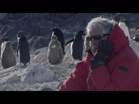 Parts Unknown Antarctica Trailer