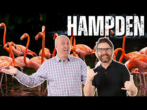 5 Things To Know When Moving To Hampden, Baltimore City