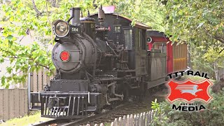 Frisco Silver Dollar Line - Fall Harvest &#39;22