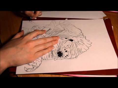 Star Wars Rancor Throwback Ink Drawing | Sketch Warrior