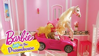 Happy Bathday to You | Barbie LIVE! In the Dreamhouse | Barbie