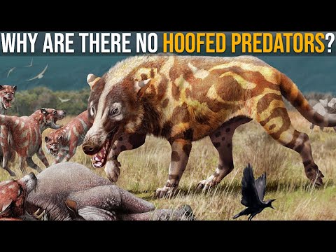 Why Are There No Predators With Hooves?
