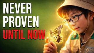 Download lagu A 10 Year Old Found The Impossible In Butterfly Memories mp3 Download lagu A 10 Year Old Found The Impossible In Butterfly Memories mp3