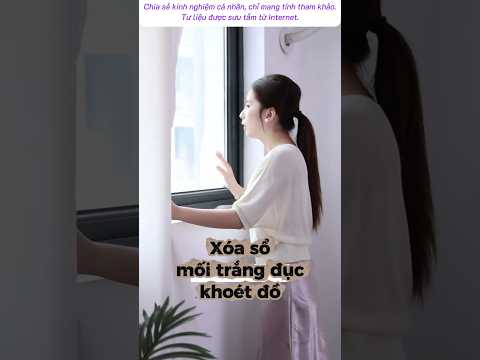 Xóa sổ mối trắng đục khoét đồ #meovat