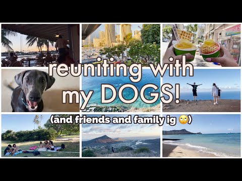HAWAII VLOG: reunions! day 2-3