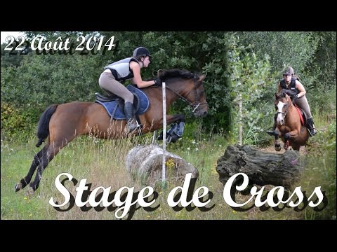 comment nettoyer pantalon blanc equitation