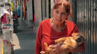 "Mía" - Cortometraje