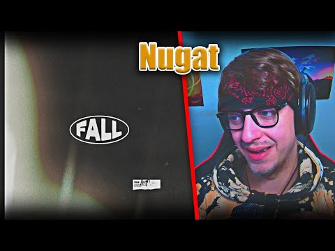 ProjektPi REACTS to Nugat - Fall