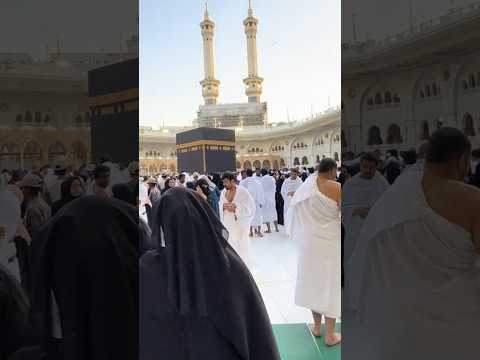 #art #sakib #asmr #song #duet #diy #food #fgc #art  #jesus #live #love #quiz #world #edit #bee..