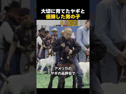 ヤギの品評会で優勝した少年