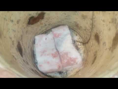 Lardo di maiale salato nel tinello, metodo antico calabrese, da MicheleExpert-Cropalati (Cs)