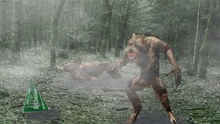 Cryptid Spotlight: The Dogman