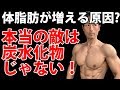 体脂肪が増える原因?本当の敵は炭水化物じゃない!