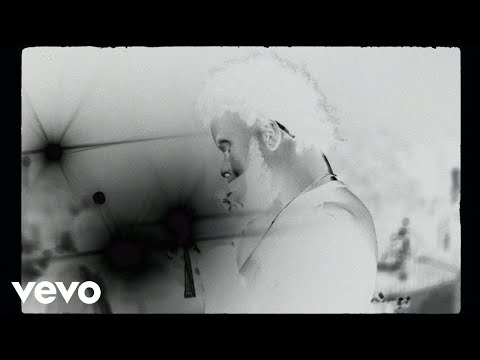 Don Mundo - Dunce Out (Official Music Video) ft. Chxpz