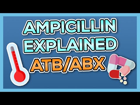 Ampicillin 500  ampicillin 500mg