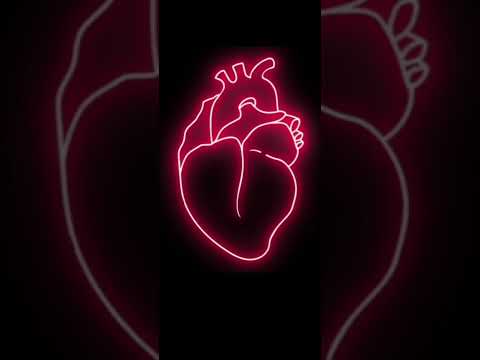 Ary Liaze - Ticket nach katama 2022