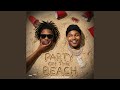 Party On The Beach Feat D Sturdy