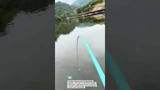 Download lagu 😱😳🐟 Detik Detik Joran Melengkung Di Sambar Ikan Ini.. #shorts #fishing #mancing #fish #viral mp3