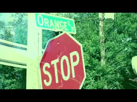 BFL Hizzle “ Ten Toes “