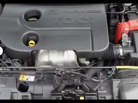 Ford Fiesta 1.6 Tdci Mk7 Ölwechsel 3.85 lt