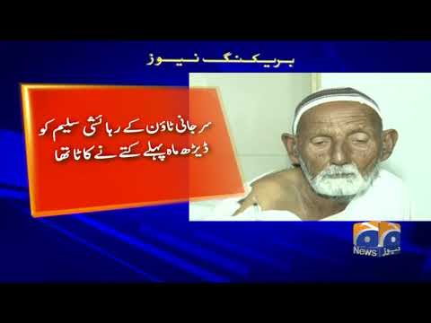 Karachi Main Kutte Ke Kate Se Aik Aur Shakhs Zindagi Ki Bazi Har Gaya