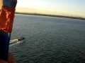 Nelson1