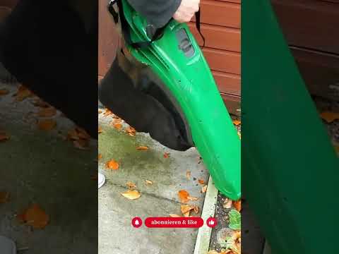 Laubbläser? Darum lieber nicht – So nutzt du Laub für die Artenvielfalt