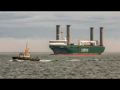 Innovative technologies to reduce ship fuel consumption and emissions #ChartoftheWeek Video