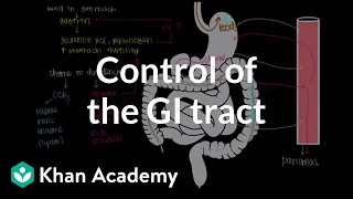 Control of the GI tract | Gastrointestinal system physiology | NCLEX-RN | Khan Academy
