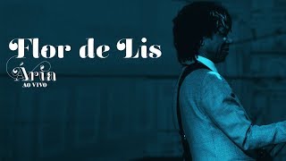 Djavan - Flor de Lis - versão do DVD Ária ao Vivo