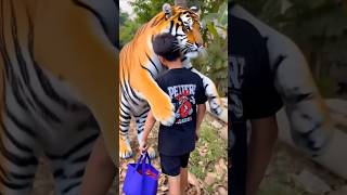 Download lagu Farel prayoga di peluk harimau 🐯🐅 mp3