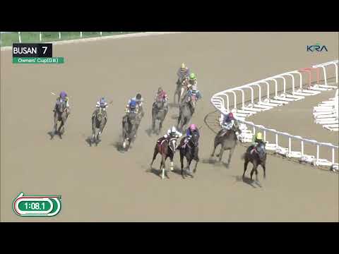 (Busan) 2022.07.24 R7 Busan Owners' Cup (1600M KOR-G3)