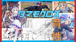 【ウマ娘】タマモクロスの物語を見る配信！
