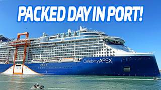 6 Cruise Ships Sail Away from Port Canaveral! 🚢 Mardi Gras, Disney Treasure, MSC Grandiosa & More!