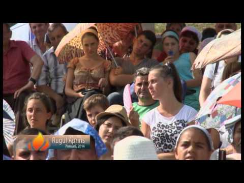 Cornel Urs marturii Ponoarea 2014 (  2  )