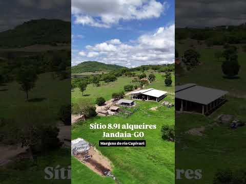 Chácara 8.91 alqueires ( 43.15 ha ) Jandaia-GO - 90 mil litros de leite mês #chácaraavenda #pecuaria