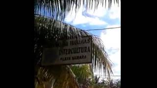 preview picture of video 'Playa Samara, Costa Rica'