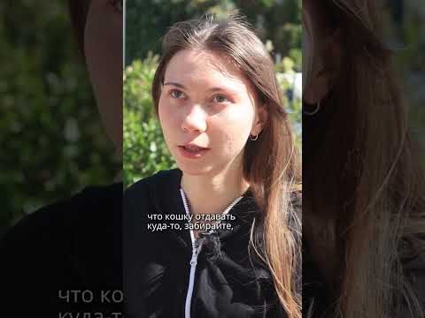 Громили все, когда был обыск