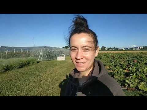 Il buongiorno da Bregnano da Floe nella natura