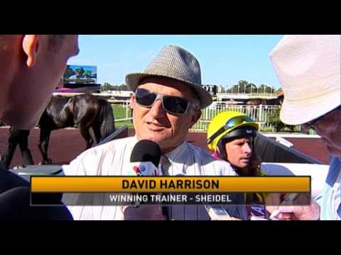 Ascot, 2/01/2016 - Race 7 - SHIEDEL - David Harrison & Patrick Carbery